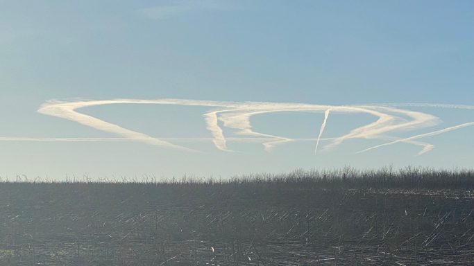 Clouds forming abstract shapes against a blue sky with a wooded horizon.